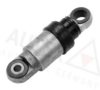 BMW 1248168 Vibration Damper, v-ribbed belt